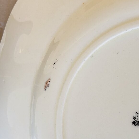 Royal Doulton Australian Gum Trees A Pattern D5506/4 Display Plate c1935 England - Picture 9 of 11